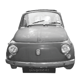 Cinquecento new.tif