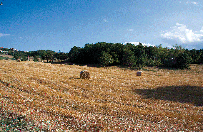 Rolling Hills of the Italian Counryside