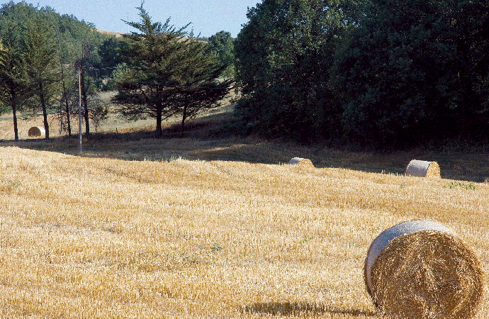 Rolling hills of Italy 